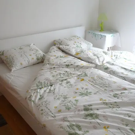 Monami * Сараево